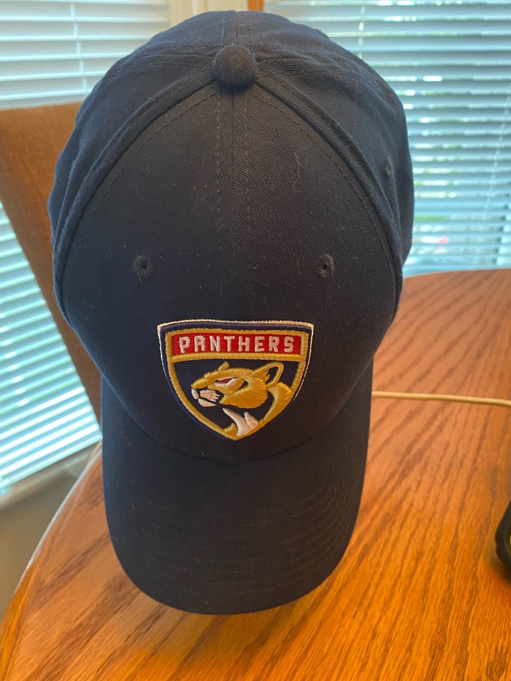 Fanatics Navy Blue Florida Panthers Cap